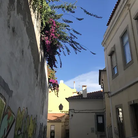 Patio - Ground Floor 2 Bdr With Ac And Pateo Apartment
